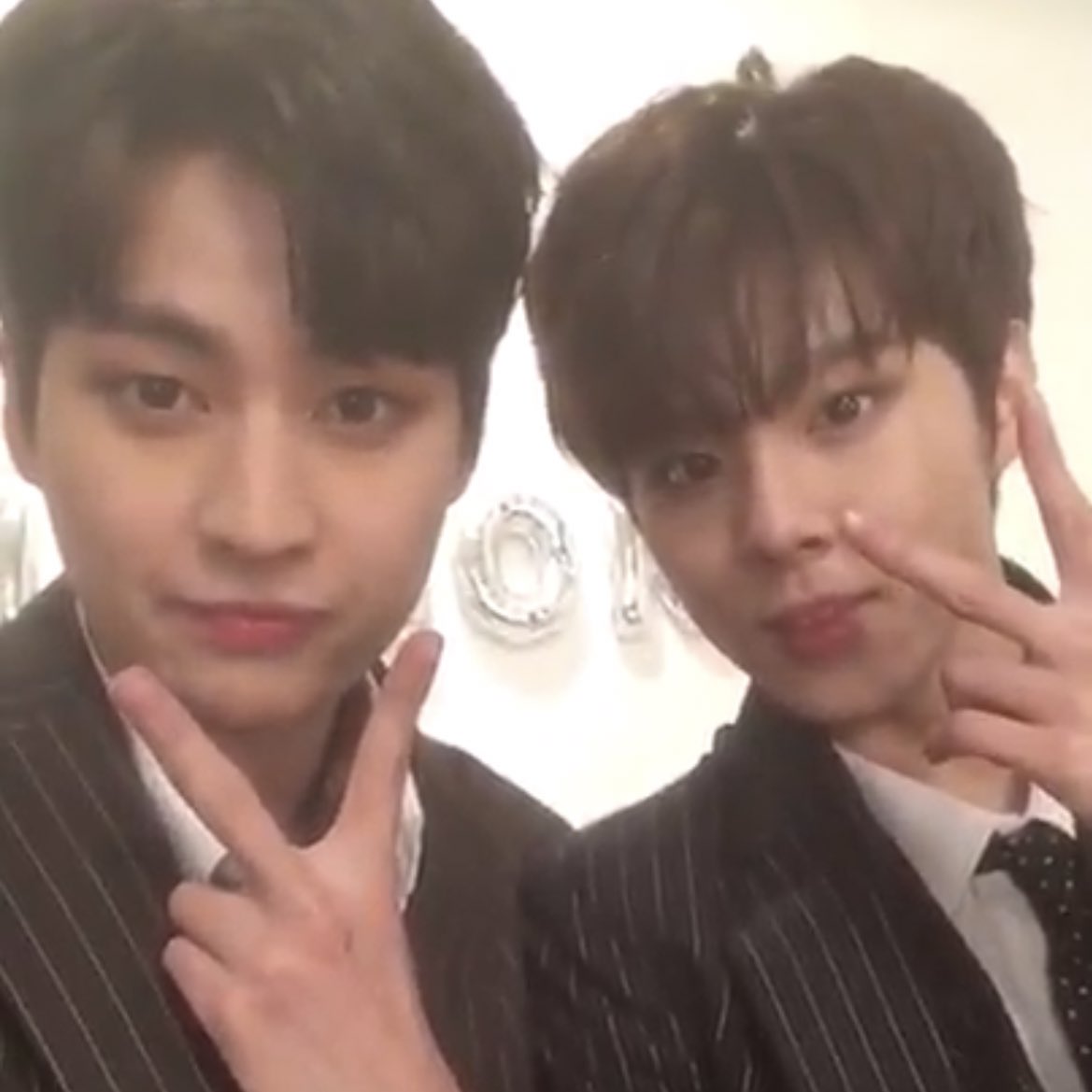 모스 tweet media