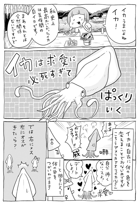 唐突にいきものの話をさせてください2/3