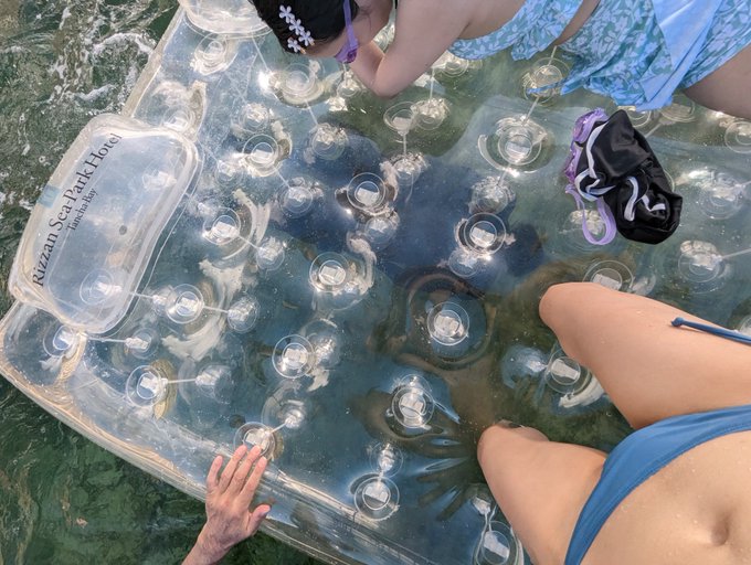 レンタル彼女沖縄旅行2日目の海 透明ダブルベットの下を潜る選手権 https://t.co/NW94ZiHDyn<a href="/tag/japanesegirl"class="tags"><span>#japanesegirl</span></a><a href="/tag/fansite"class="tags"><span>#fansite</span></a>