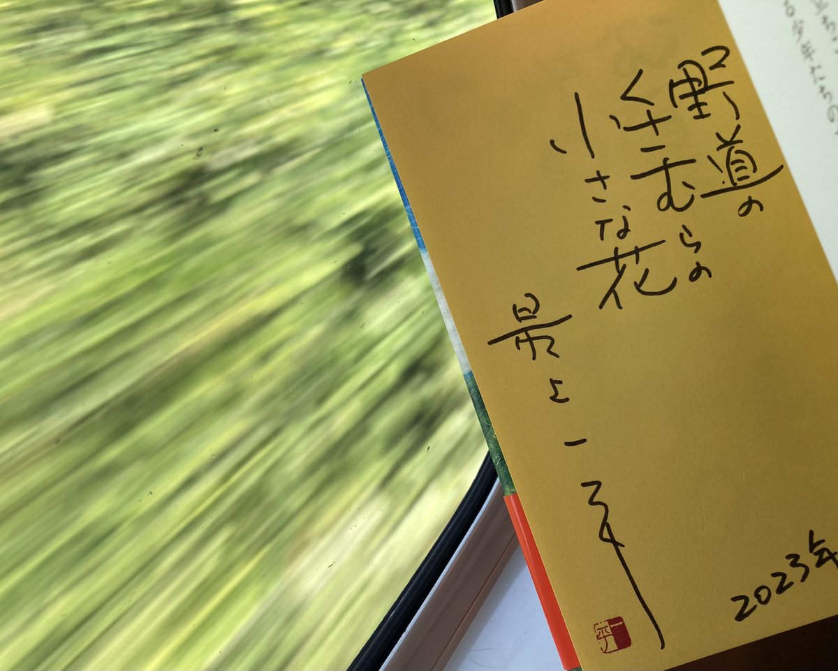 野道の
くさむらの
小さな花☺️🍀🌼
…緑の車窓とともに🍀🍀✨