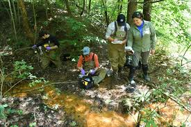 Dive into the mysteries of Hydro-biogeochemistry! Explore the science of water's journey through Earth's systems, shaping ecosystems &amp; our environment. Let's understand this watery world for a more sustainable future 🌍💧#Hydrobiogeochemistry #EnvironmentalScience #Sustainability