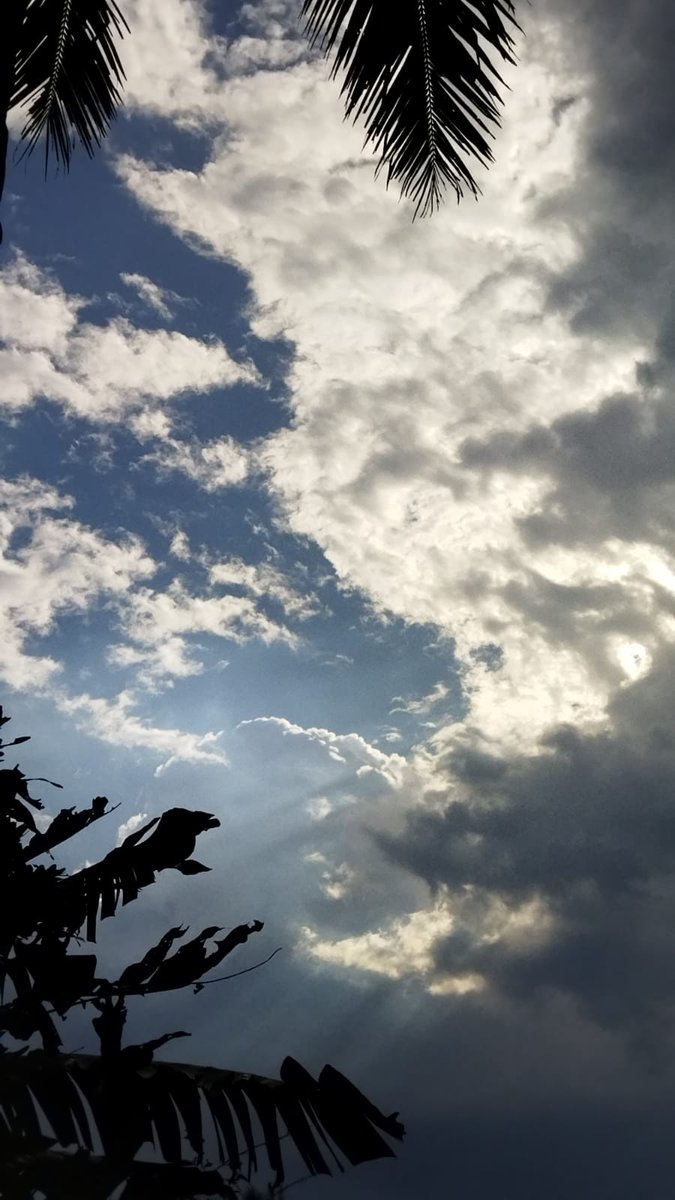 essecklat's tweet photo. #Sky_For_Seungkwan https://t.co/Aqp7H0xEJZ