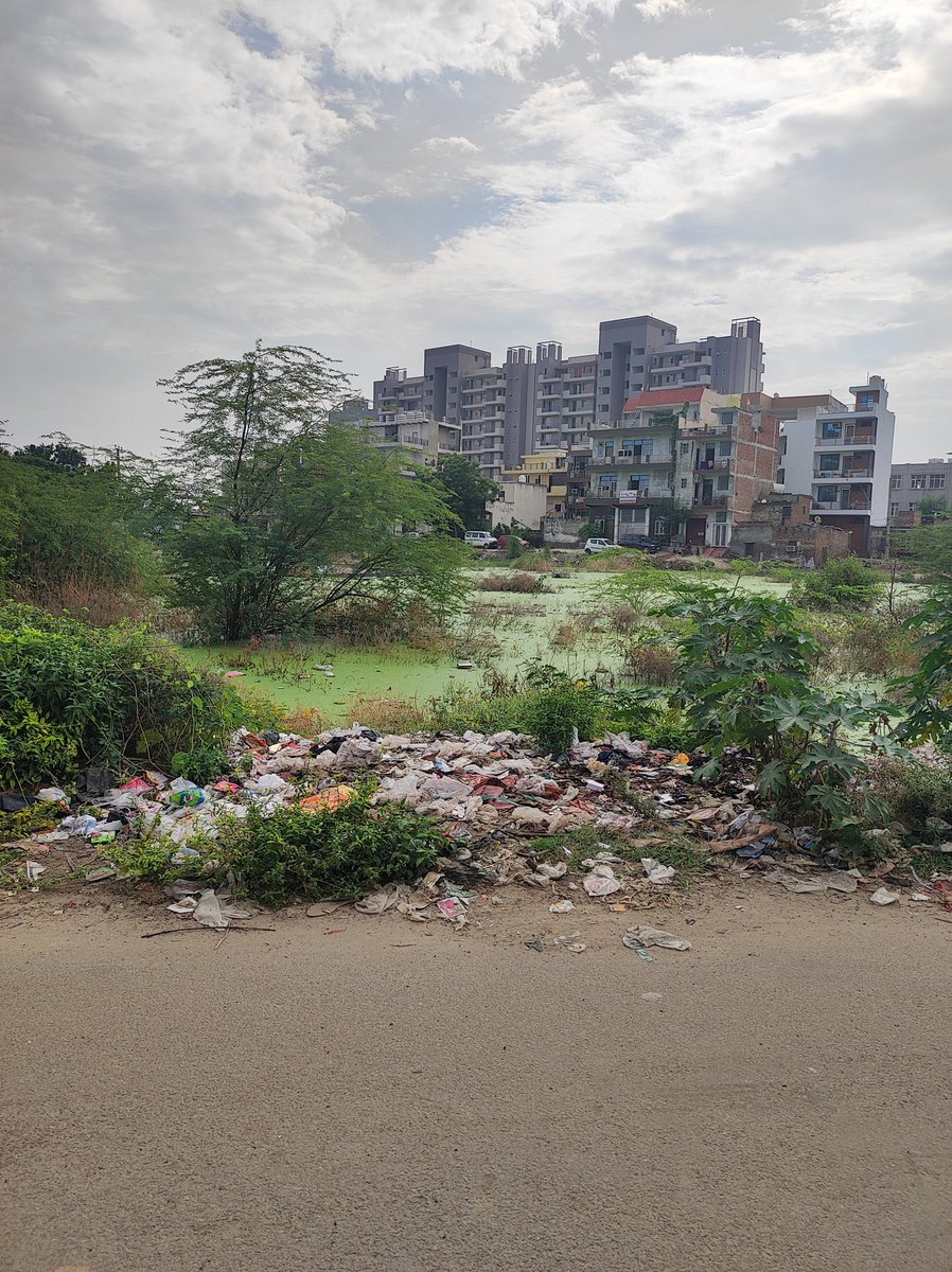 vaneetb2002's tweet photo. Pictures taken from different areas in  37C. Multiple complaints on swatch bharat but no action till date. It has now started to gv bad smell also. Slowing becoming breeding grnd for mosquitoes flies etc.
Plz take action. @cmohry @DC_Gurugram @MunCorpGurugram @rakeshdaultabad https://t.co/wIdB5yKCBN