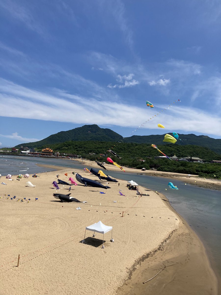 謝志忠 tweet media