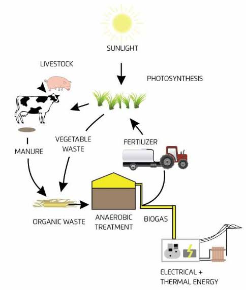 What is the importance of #Animaldung to #Biogas production?
Animal dung and other decaying matter can be used to produce #biogas through the process of #anaerobic digestion.

<a href="/sharon_ikeazor/">Sharon Ikeazor</a>
<a href="/GreenongreenO/">Ocharan_GreenOnGreen</a> 
<a href="/EAD_FMEnvng/">Environmental Assessment Department</a>
<a href="/FMEnvng/">Environment Ministry</a>
<a href="/FmardNg/">Fed Min of Agric & Food Security</a>
<a href="/jidesanwoolu/">Babajide Sanwo-Olu</a>
<a href="/sumuelahi/">Sumu Elahi</a>
<a href="/Solution17Green/">Solution17 Green</a>