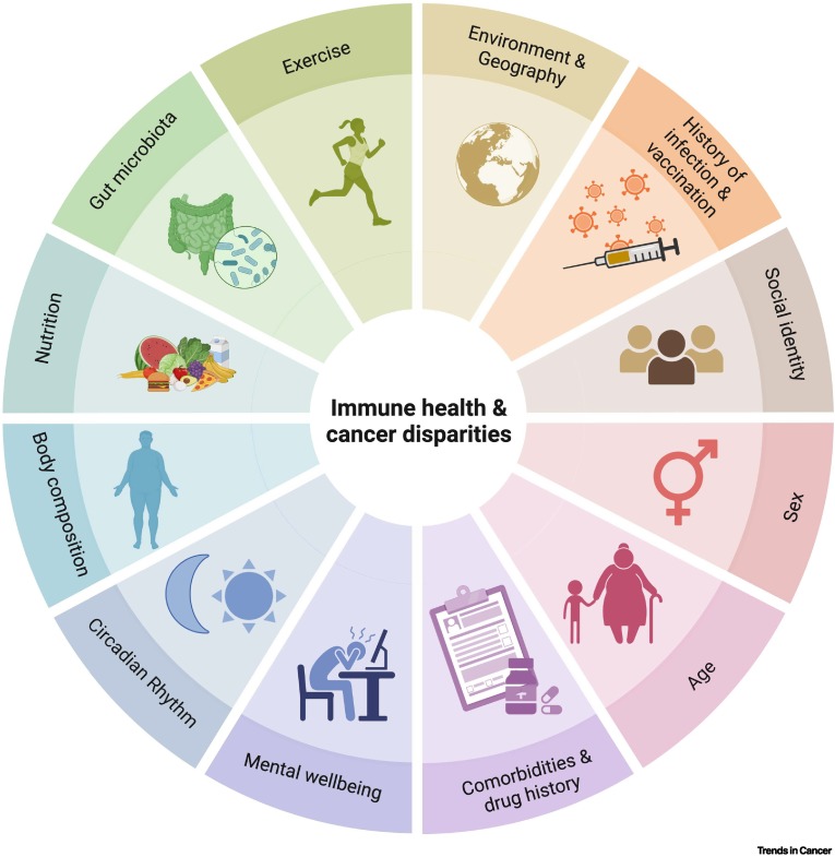 Daniel Corchado tweet media