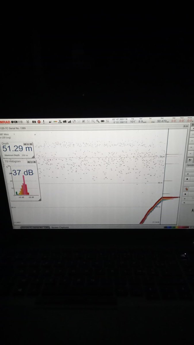 🐟Whitefish are waiting for you ! 🐟
We are getting ready to welcome you in Evian for Coregonid 2023! 
🕦Registration for online participation still open until September 20🕦
⬇️ an image of the hydroacoutic survey this friday on Lake Bourget
<a href="/UmrCarrtel/">UmrCarrtel</a>