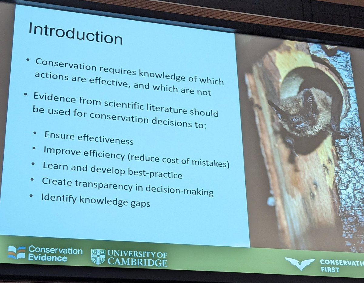 _BCT_'s tweet photo. Next talk is by @Conservation1st talking about the importance of having an evidence based approach to bat conservation @ConservEvidence #NatBatConf https://t.co/jr5HNBvvdJ