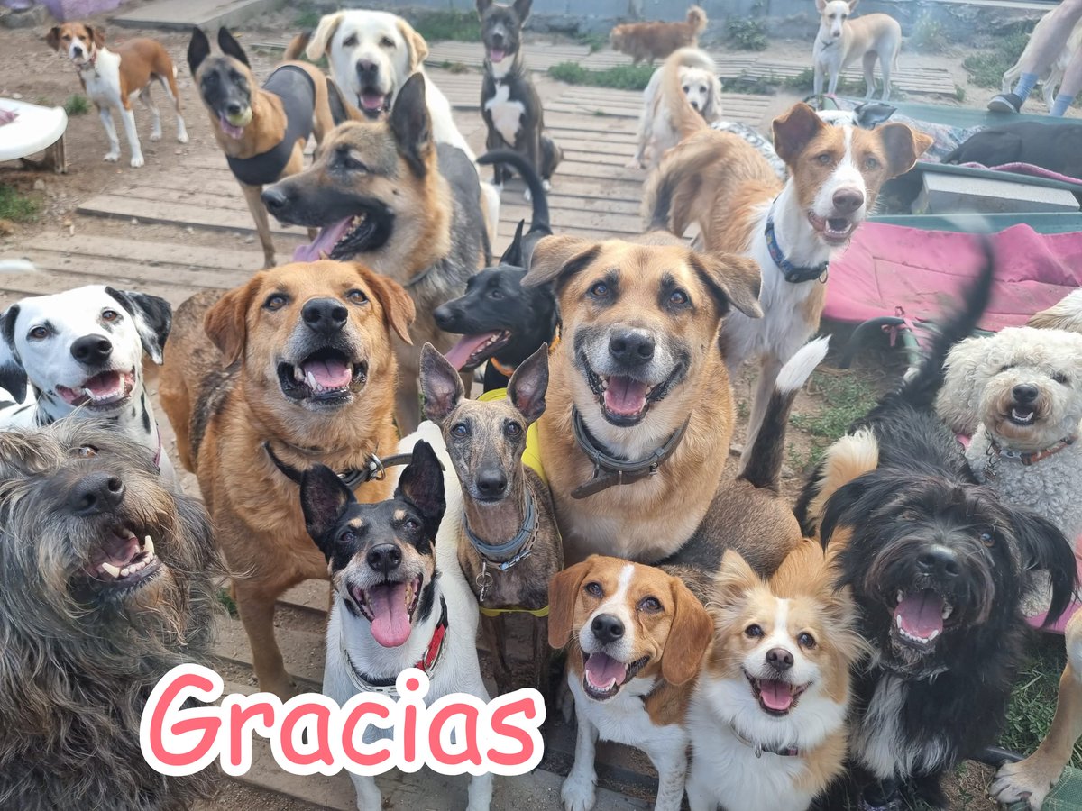 ᑭᏞᗩᑎᗴᎢᗩ Ꮓᗩᖇᑭᗩ tweet media