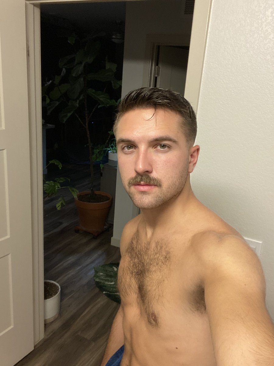 plant daddy tweet media