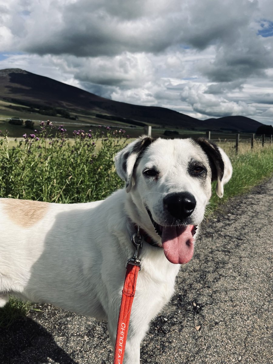 Adrian Tilsed tweet media