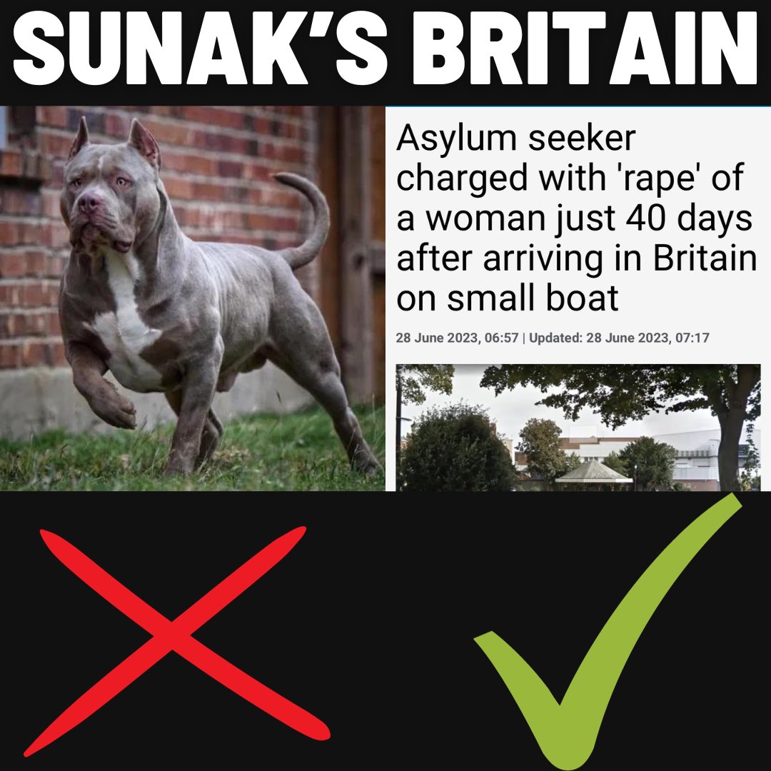 Welcome to Sunak’s Britain

XL Bully’s are BANNED because of the threat they pose to people 

Meanwhile Rapey Asylum seekers who pose a threat to the public aren’t banned!

#SunaksBritain #LawlessBritain
