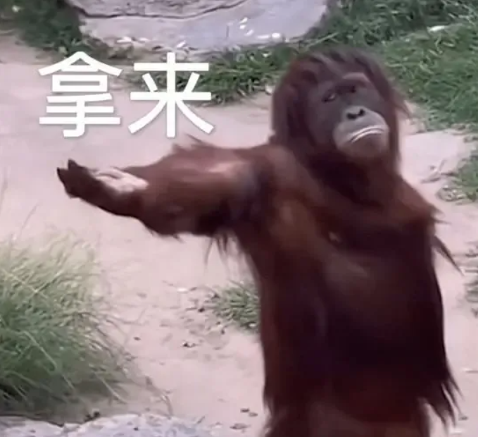 DD計畫 tweet media