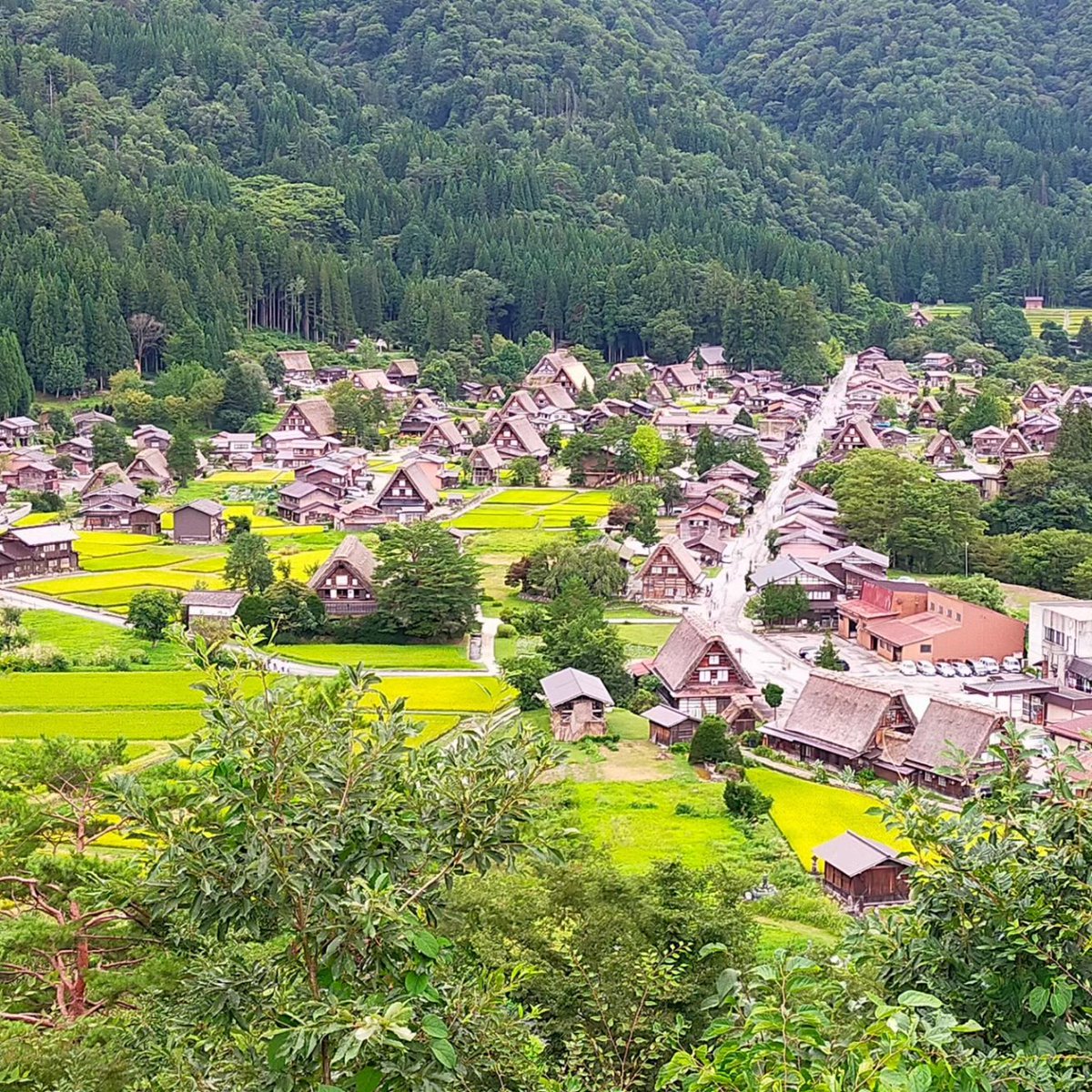 dgkm1's tweet photo. Shirakawa-go, Gifu, 30 August 2023. https://t.co/VYbfJsmsdZ