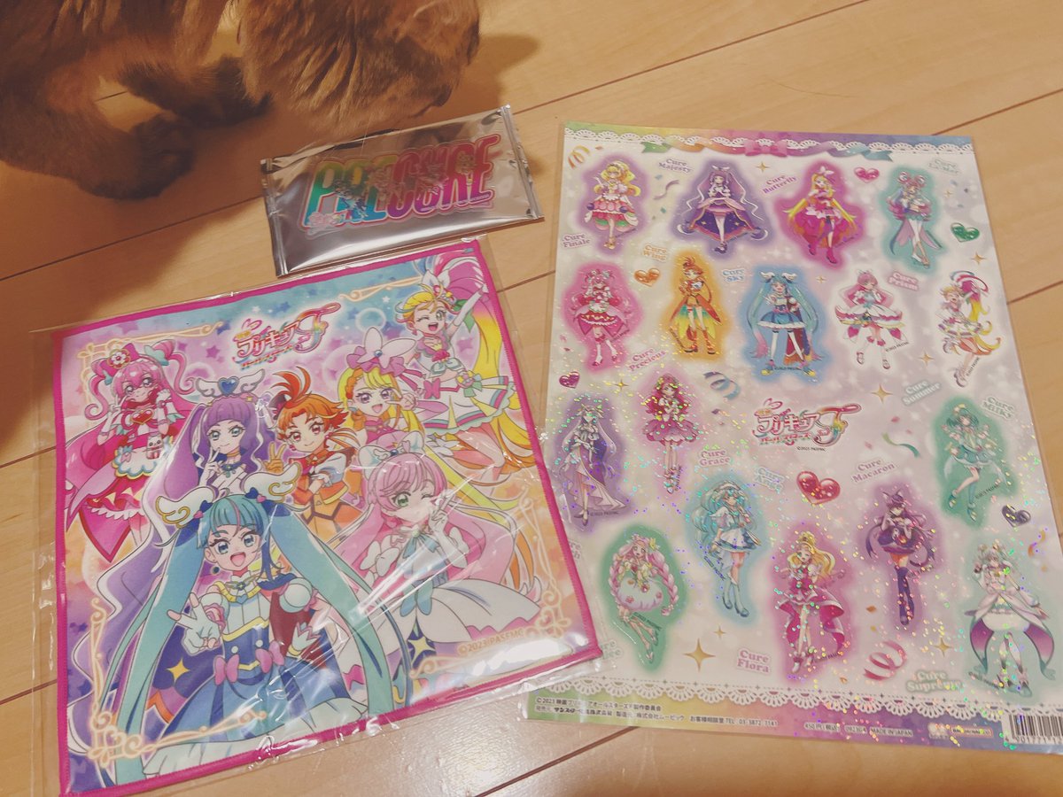 昨日プリキュアオールスターズF観てきました🐈🐾︎💕
キュアプレシャスがけっこう出てきてくれて嬉しかったです😍
入場者特典のクリアカードは自力でデパプリが引けた奇跡が起こりましたぁ🍙✨️
テンション上がってステッカーとハンカチ買っちゃった☺️✨️