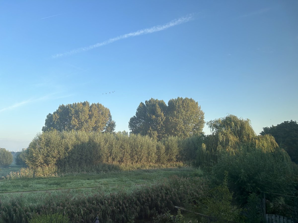 Goedemorgen TweeX. War een prachtige ochtend alweer. #houvanmijnachtertuin.