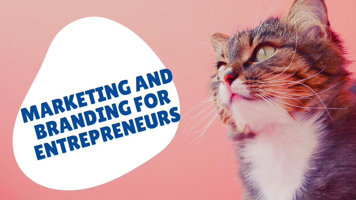 As an entrepreneur, consider your marketing and branding strategy as the distinctive essence of your business. 
#petsitter
#petlovers
#petsitting
#petsitterlife
#petlover
#petgrooming
#petgroomer
#petcare
#petdaycare #smallbusinessconsulting #growingyourbusiness