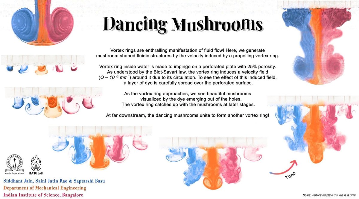 'Dancing Mushrooms'
One of our entries for the APS GFM 2023!

#Science #Research #physics #fluidmechanics