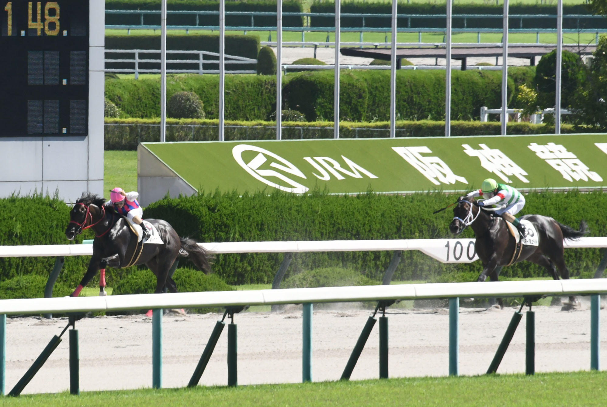 【中古】 ザ・馬券師！！パーフェクトバイブル これがＧ１戦必勝の掟だ！/総和社/東山陽介 ザ・馬券師!!パーフェクトバイブル これがG1戦必勝の掟だ!! 中古