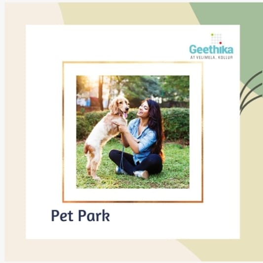 supadha's tweet photo. Let your fur babies run wild and free in our pet park – where every tail wags with joy! 🐾🏞️ #PetParkParadise #FurryFriendsUnleashed #luxury #homesweethome #supadha #geethika #realestate #villa #villalife #luxuryvilla #luxuryvillas #PremiumVillas  #kollur #nature #greenery https://t.co/lpj4m15TXk
