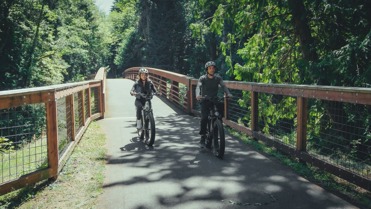 multijoyebikes tweet picture