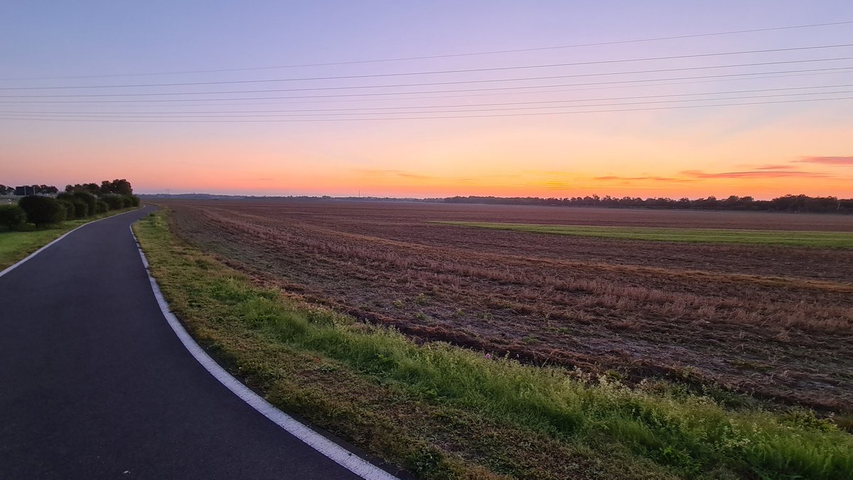 schnelleBeine's tweet photo. So war das heute morgen.
#earlybirdrun https://t.co/RROpDRLrCZ