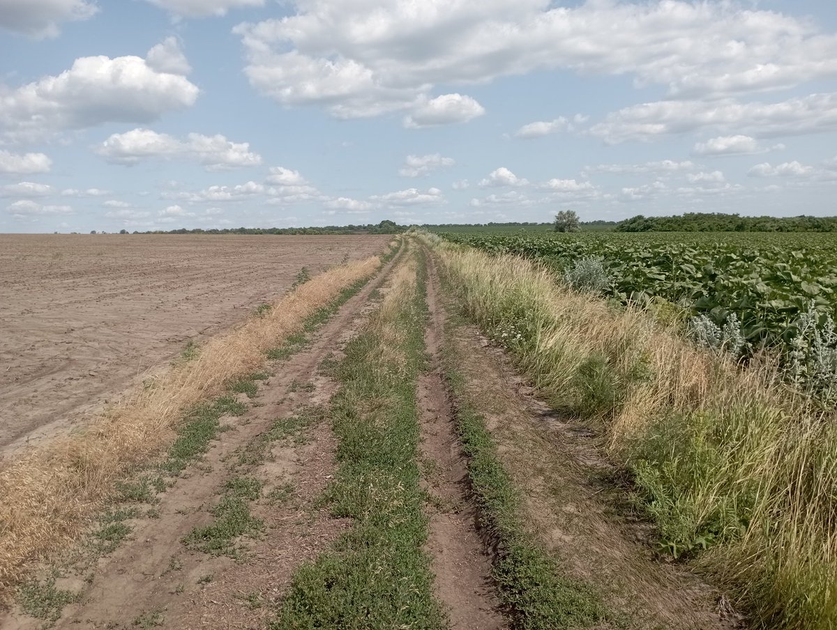 Bomber9150's tweet photo. It looks like the road separates the two locations 
#Ukraine #Dnipro #Travel #flover  #plant #nature https://t.co/2mgwpYWetF