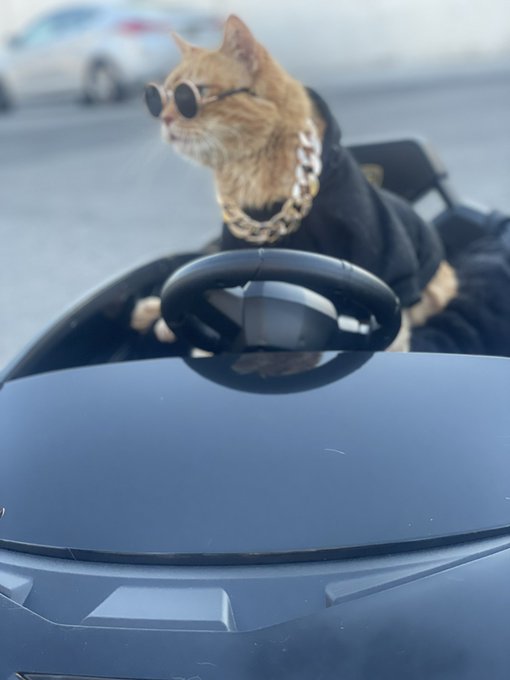 Took the princess out for a ride today&hellip;. Video coming soon. https://t.co/NBeFzOseHF<a href="/tag/ghostbusters"class="tags"><span>#ghostbusters</span></a>
