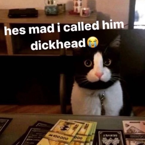 F6IPBSrXYAA_WqC?format=jpg&name=small