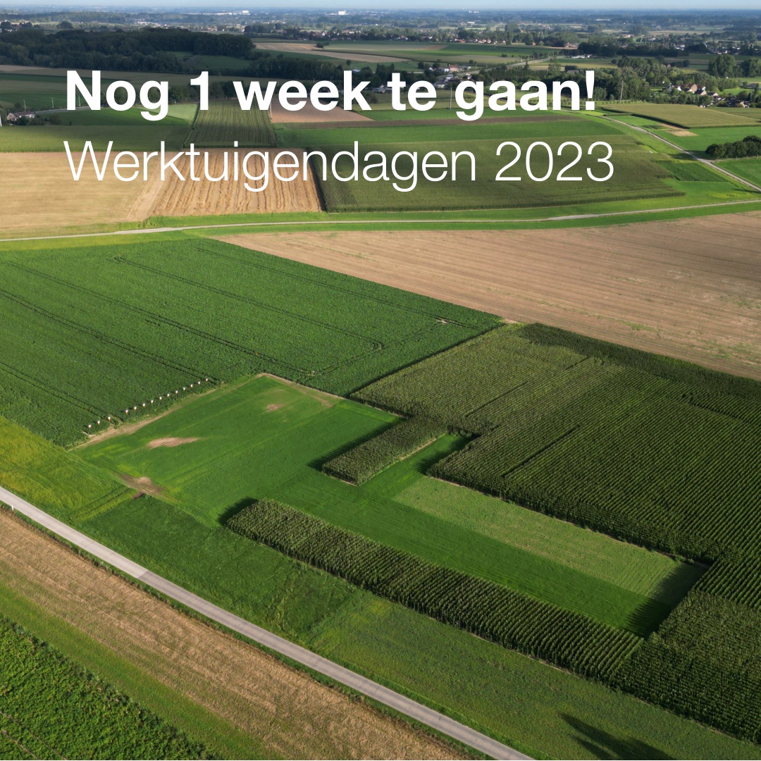 KWS_Benelux's tweet photo. Over exact 1 week starten in Oudenaarde ๐ง๐ช de #Werktuigendagen 2023. Kom je de KWS-tent ook bezoeken? ๐ฝ๐๐๐ฑ๐
#mais #suikerbieten #Feedbeet #SnelleLenteRogge #Seed2FEED https://t.co/XpwWuFIRrO