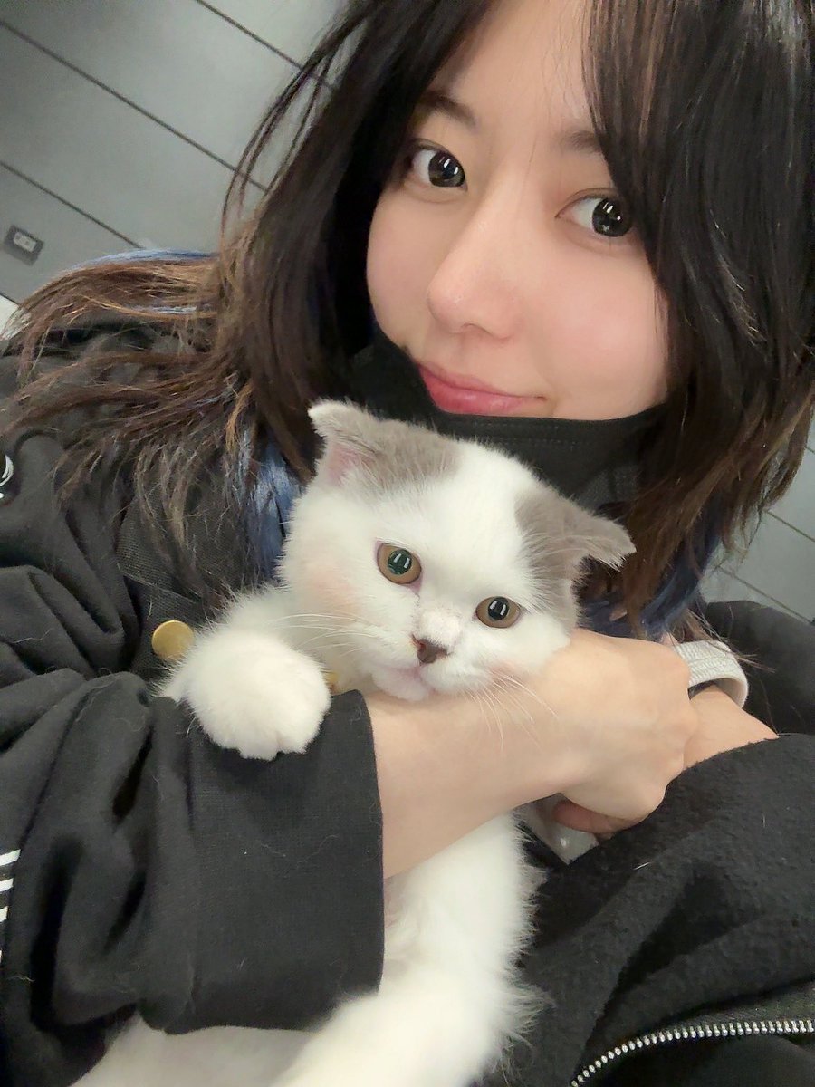 SAKURA WITH NEW CAT????
