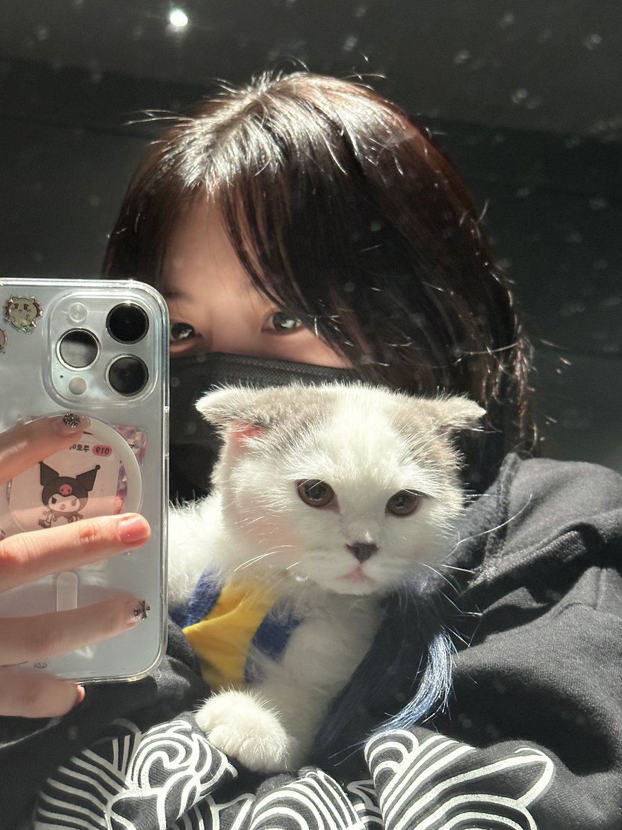 SAKURA WITH NEW CAT????