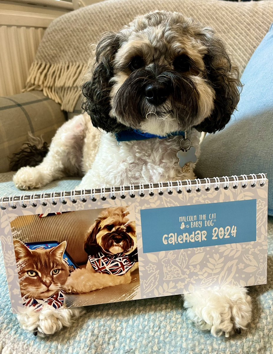 Malcolm & Baby Dog tweet media