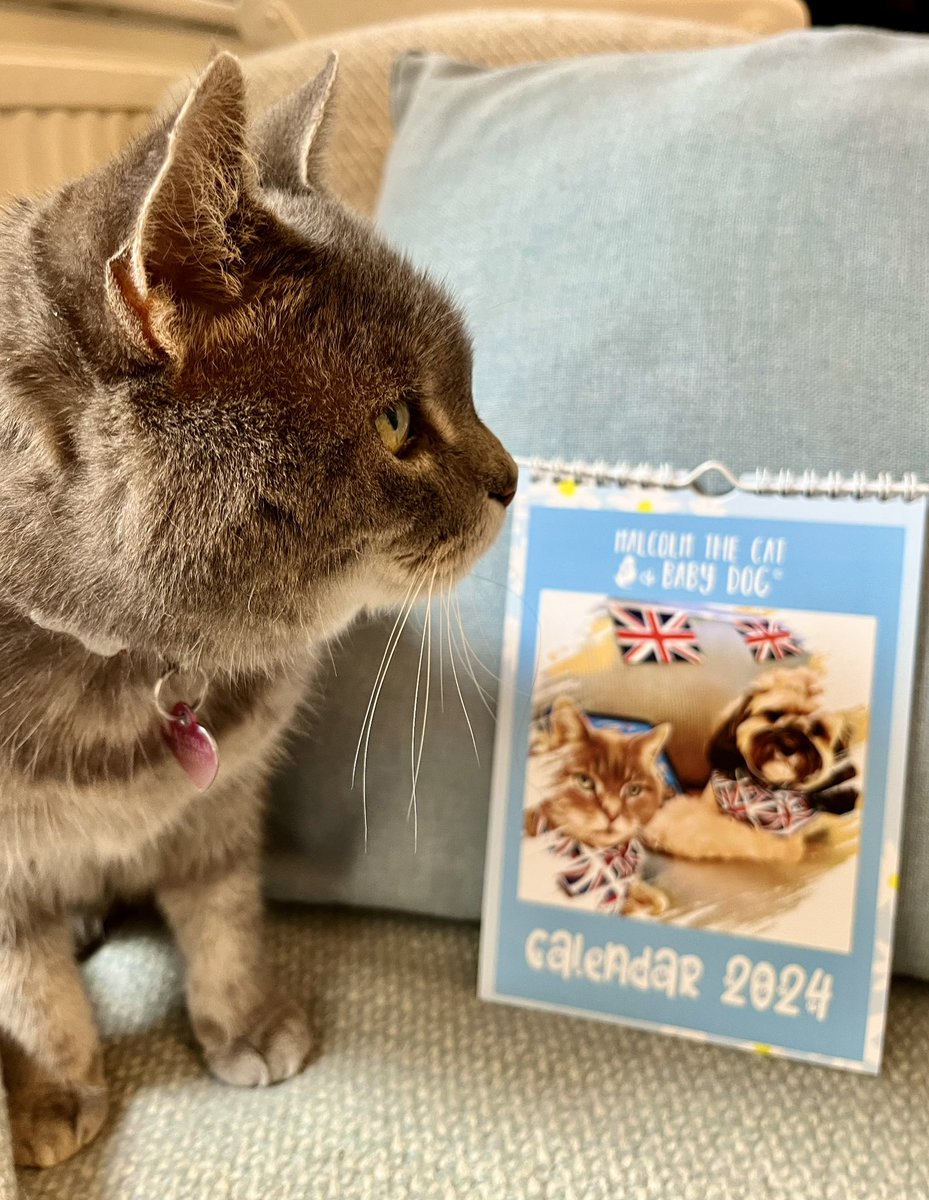 Malcolm & Baby Dog tweet media