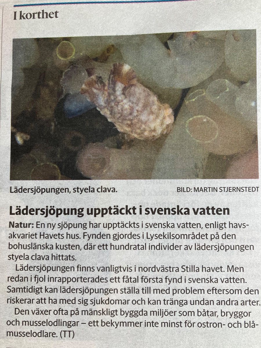 @ISAP-SWEDEN tweet media