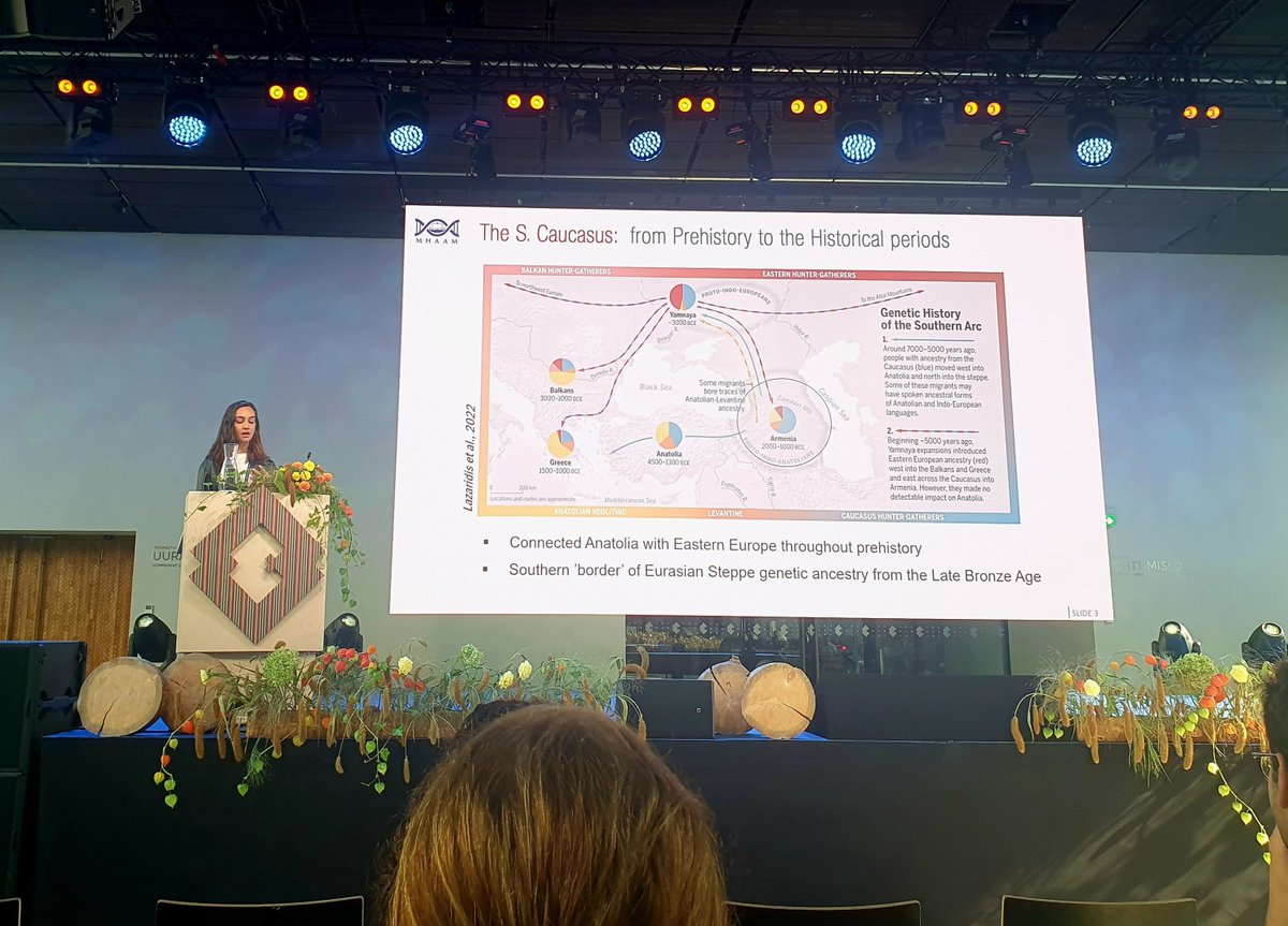 Harald Ringbauer tweet media