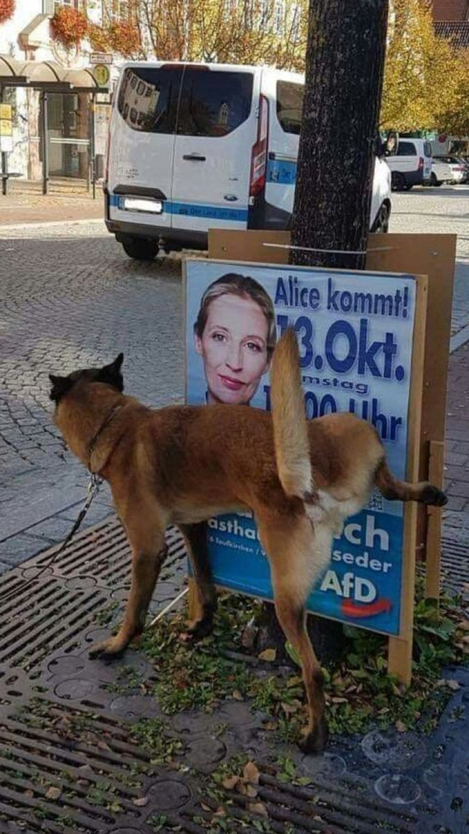 edicecov's tweet photo. Tier des Jahres! https://t.co/9FdqqegluB