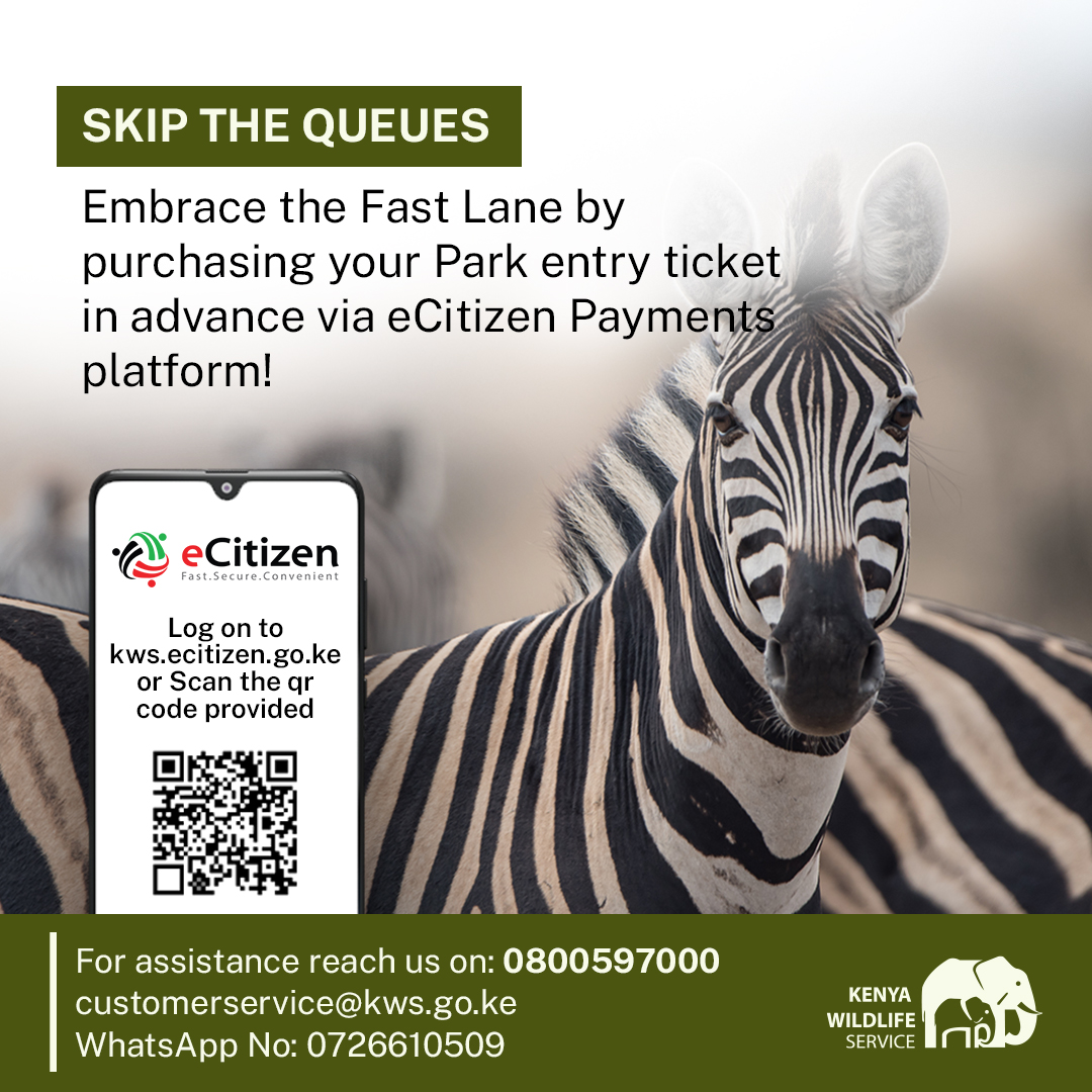 Visiting the Park today? Skip the queues

Create a personal account on the eCitizen Government platform by visiting kws.ecitizen.go.ke and Prepay for a fast and convenient park entry.

#ExploreExperienceConserve