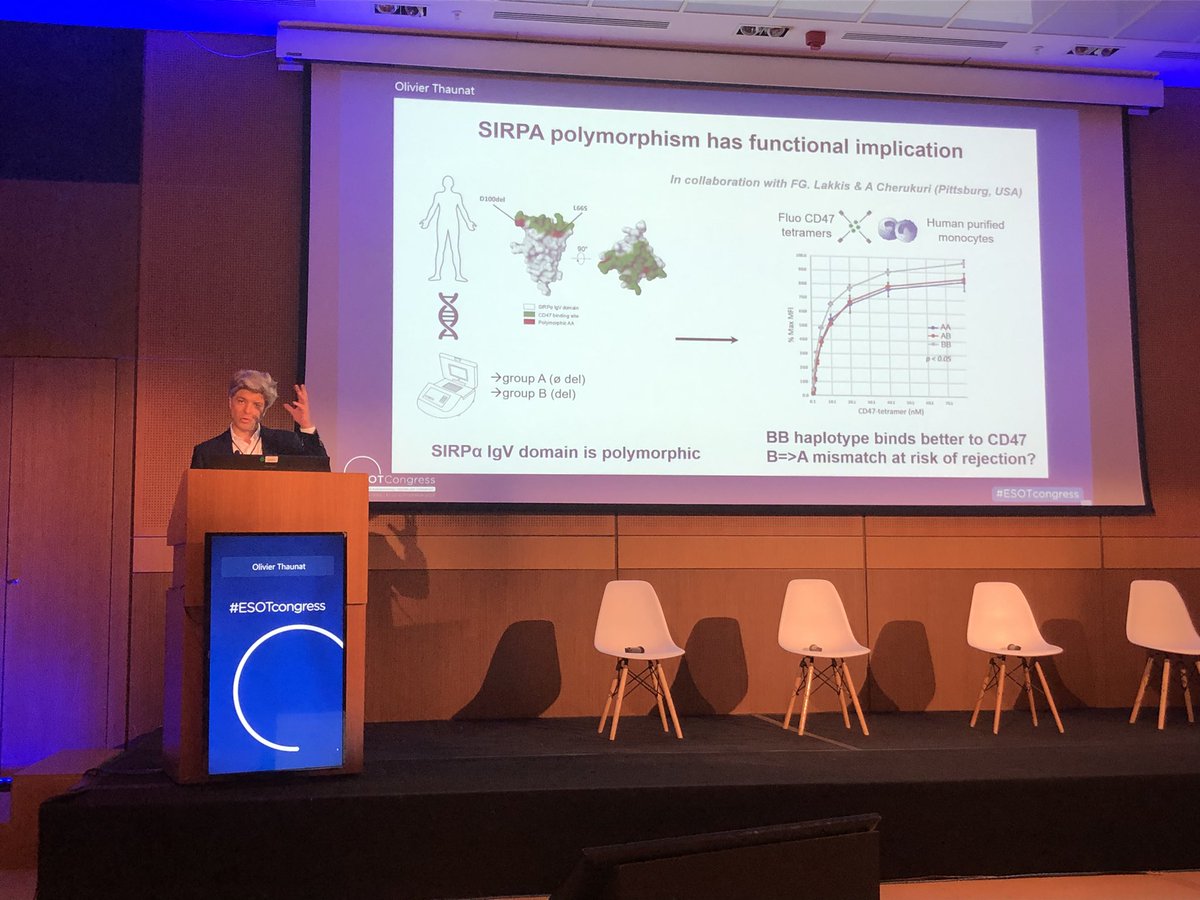 lupoten (@lupoten) on Twitter photo Amazing talk on emerging mechanisms of allorecognition in transplantation by <a href="/Olivier_Thaunat/">Olivier_Thaunat</a> at the <a href="/ESOTtransplant/">ESOTtransplant</a> education course #ESOTcongress Amazing talk on emerging mechanisms of allorecognition in transplantation by <a href="/Olivier_Thaunat/">Olivier_Thaunat</a> at the <a href="/ESOTtransplant/">ESOTtransplant</a> education course #ESOTcongress