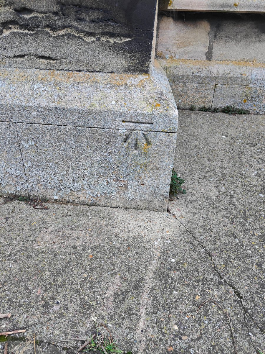 Always_Boots's tweet image. Awake for a solid 24hrs working, 16.4k walked during the night, no car so for this job so decided on an early morning step back to the local train station through the fog, not great pace but stamina in the old Yeti still 🙌🏻😂

And bagged a #cutmark for @HellingtonBoots too! 😉