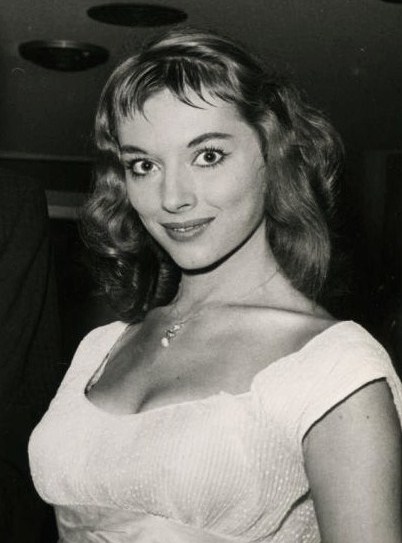 apho66's tweet photo. Vikki Dougan (born Edith Tooker, *January 1, 1929) is an American former model and actress
#vikkidougan #femalebeauty #americanactresses #americanmodels https://t.co/yTkCRD6mZO