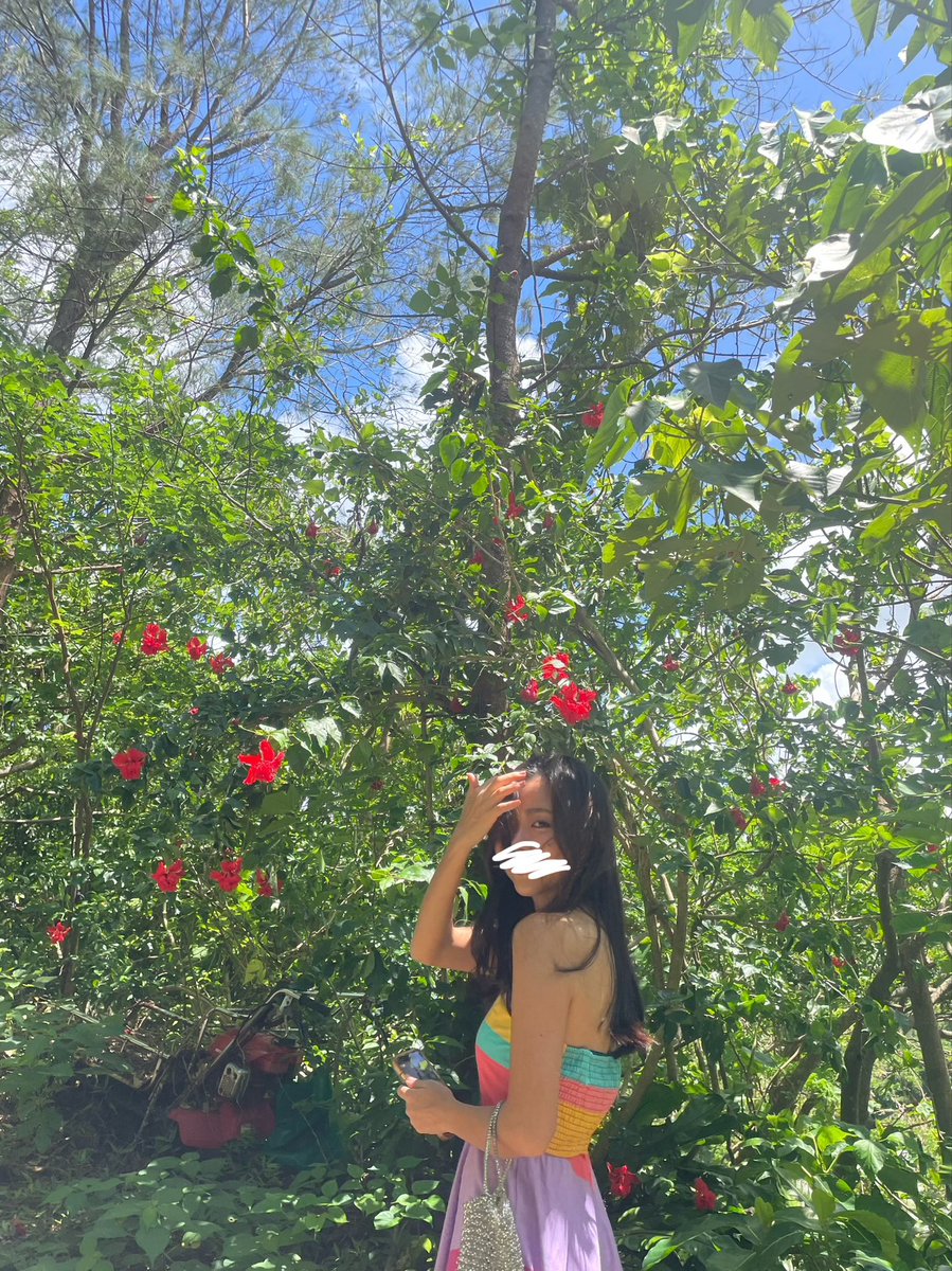 eily_c's tweet photo. この間は沖縄で夏の終わりを大満喫🌺

旅ごとに地域の焼物を買ってしまう傾向にある私、今回はやちむんをお迎えしました。
お気に入り花瓶は松本の工藝店で購入したものだけれど、琉���ガラスだったみたい！

海の透き通るきらめきと、人々の温かさがそのまま工藝品にも表れている気がするな。 https://t.co/fgcaTvNNPy