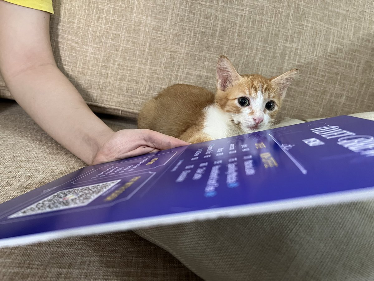 What are you afraid of? Do not be scared