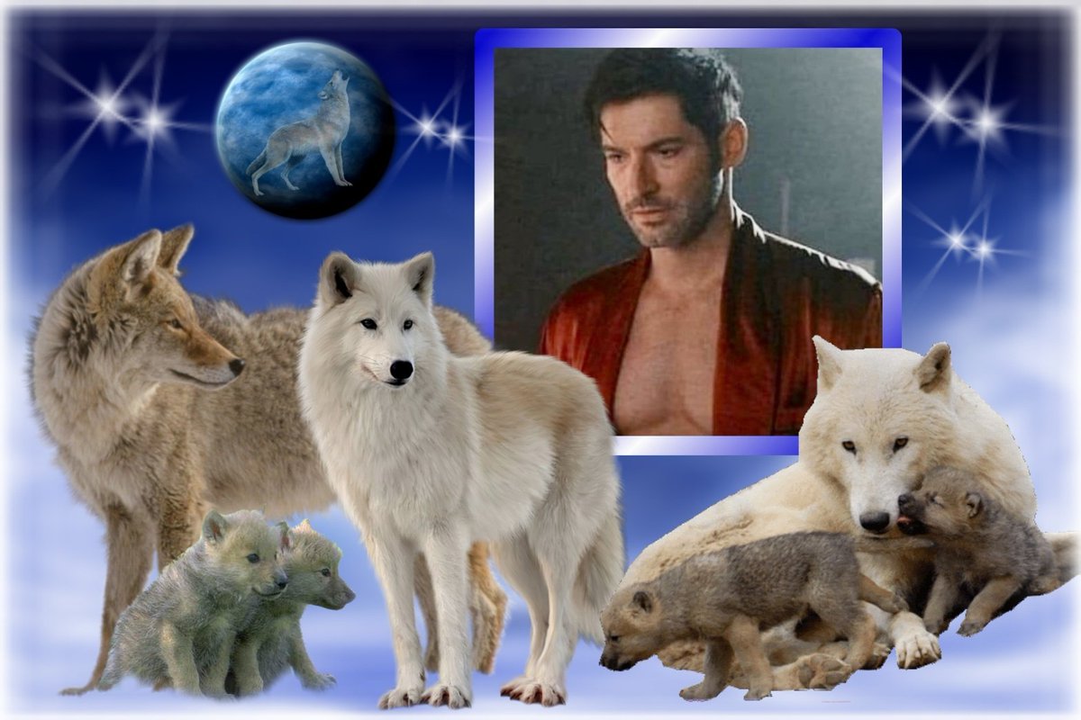 Kay Blackwell tweet media