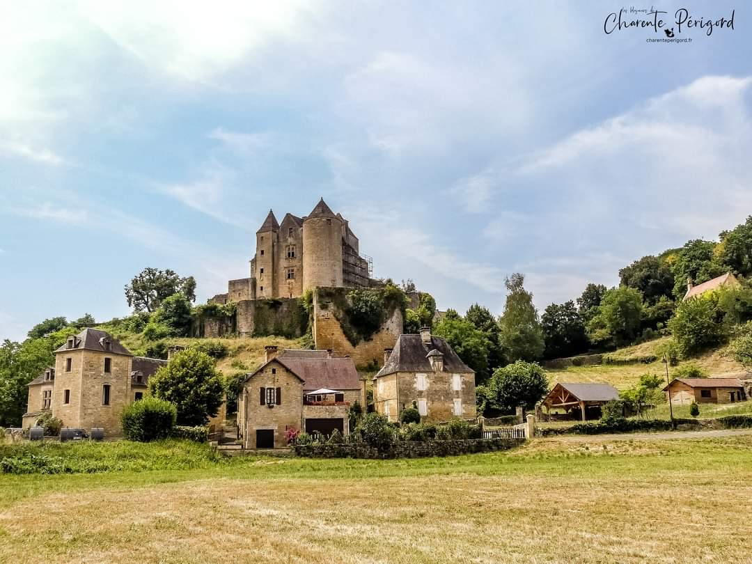 CharentePrigord's tweet photo. C'est les #JEP2023 ! Jouons ensemble pour (re)découvrir notre #patrimoine.

Répondez correctement à notre #jeu aujourd'hui et demain pour gagner un cadeau.

Saurez-vous reconnaître ces différents châteaux charentais et périgourdins ?

#photography #JeuConcours https://t.co/1xwStPBIIg