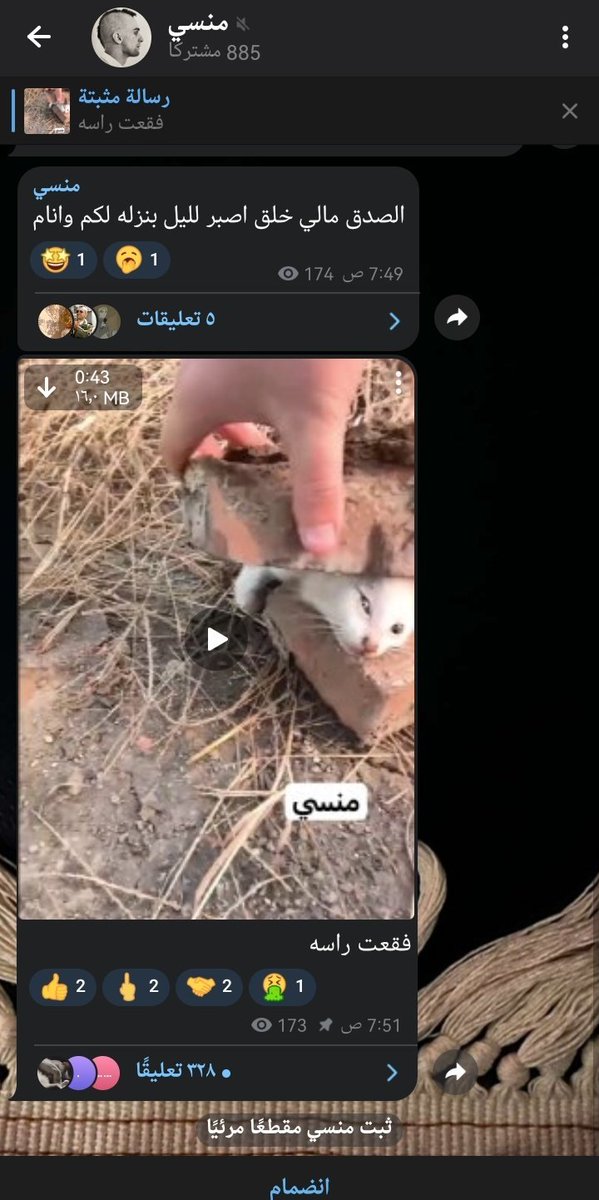سديم tweet media