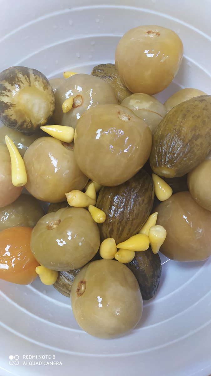 Kelek tursusu siparişi için DM den yazabilirsiniz