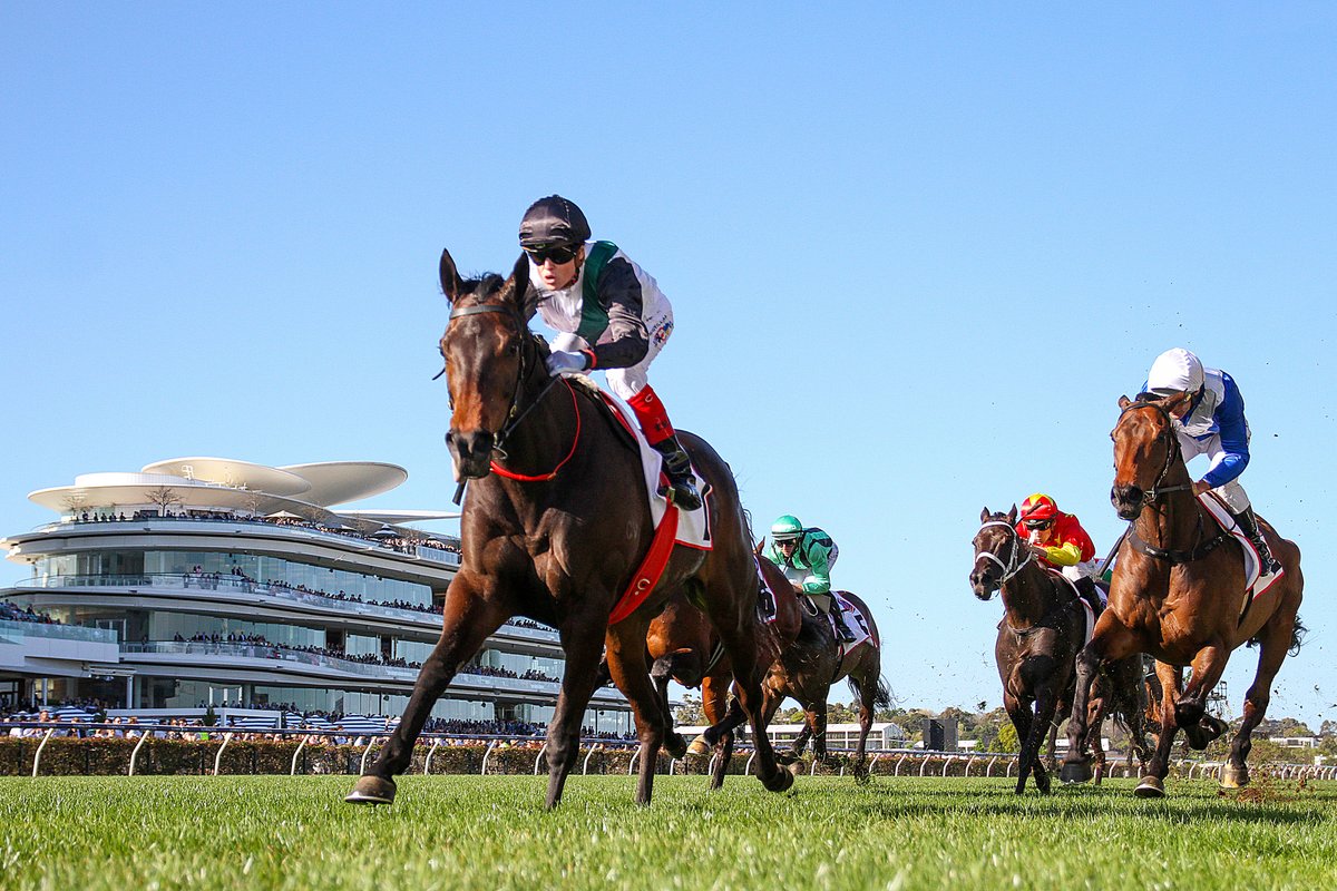 nzracingnews's tweet image. NEWS: @lindsayparkrace standout star #MrBrightside added another Group One victory to his tally after a dominant win in the Makybe Diva Stakes at Flemington on Saturday.
racingnews.co.nz/incredible-mr-…