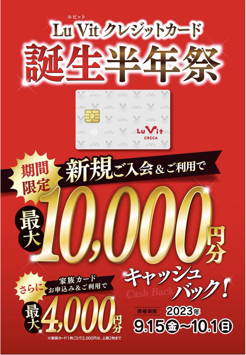 ヤバ…100%還元😀 ルビットクレジットカード新規発行し 1万円キャッシュバックで還元！！ つまり1万円利用なら100%還元😳 更に家族カード申込、利用で4000円だと……😀  例えばアマギフ1万円買えば1万戻るのか…何これ狂ってる😀電子マネーは❌1️⃣ https://t.co/kDyi63m6Tj