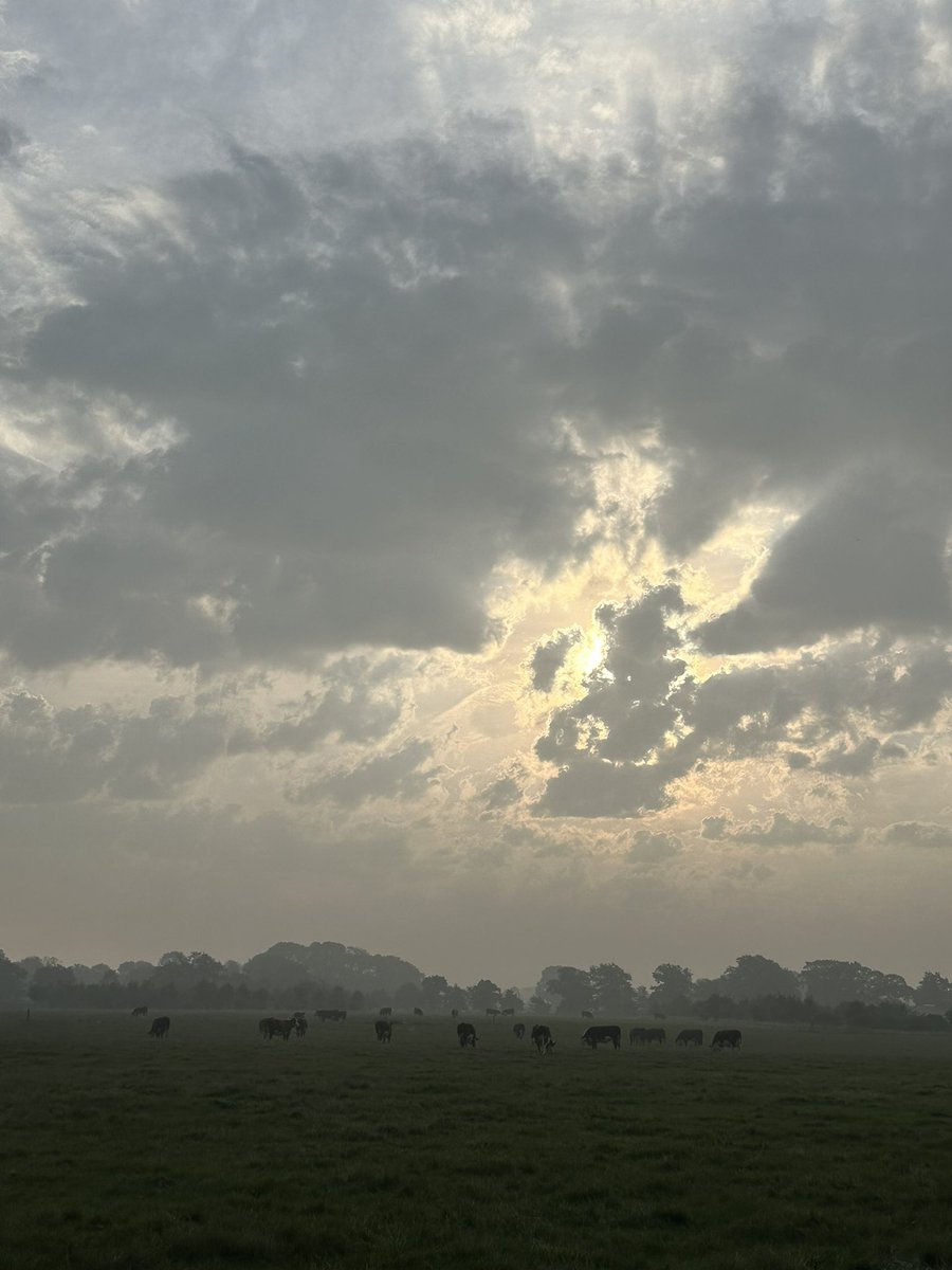 Philip Vincent (@pulhamherefords) on Twitter photo What a wonderful world we live in, everyday if different in so many ways. #myhappyplace #herefords #home What a wonderful world we live in, everyday if different in so many ways. #myhappyplace #herefords #home